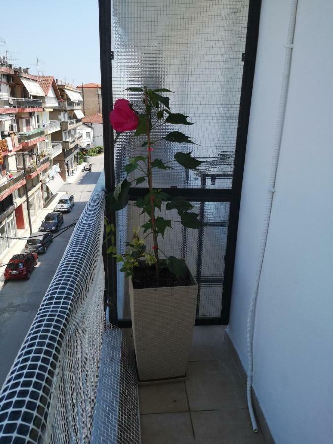 Alexandros Apartment Aridaía Ngoại thất bức ảnh