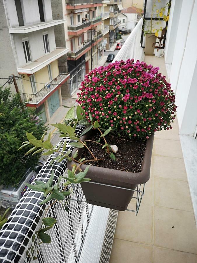 Alexandros Apartment Aridaía Ngoại thất bức ảnh